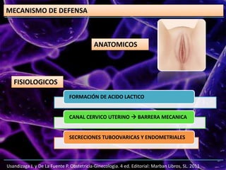 MECANISMO DE DEFENSA
ANATOMICOS
Usandizaga J. y De La Fuente P. Obstetricia-Ginecologia. 4 ed. Editorial: Marban Libros, SL. 2011
FISIOLOGICOS
FORMACIÓN DE ACIDO LACTICO
CANAL CERVICO UTERINO  BARRERA MECANICA
SECRECIONES TUBOOVARICAS Y ENDOMETRIALES
 