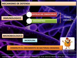 MECANISMO DE DEFENSA
Usandizaga J. y De La Fuente P. Obstetricia-Ginecologia. 4 ed. Editorial: Marban Libros, SL. 2011
INMUNOLOGICO
EPITELIO DEL ENDOCERVIX
ENDOMETRIO
TEJIDO
LINFOIDE
MICROBIOLOGICO
MICROFLORA
DISMINUYE EL CRECIMIENTO DE BACTERIAS EXOGENAS
 