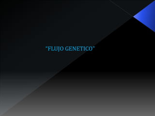 “FLUJO GENETICO”
 