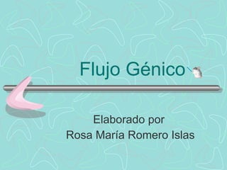 Flujo Génico Elaborado por  Rosa María Romero Islas        