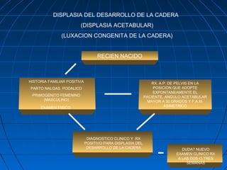 DISPLASIA DEL DESARROLLO DE LA CADERA 
(DISPLASIA ACETABULAR) 
(LUXACION CONGENITA DE LA CADERA) 
RECIEN NACIDO 
HISTORIA FAMILIAR POSITIVA 
PARTO NALGAS. PODALICO 
PRIMOGÉNITO FEMENINO 
(MASCULINO) 
EXAMEN FISICO 
RX. A.P. DE PELVIS EN LA 
POSICION QUE ADOPTE 
EXPONTANEAMENTE EL 
PACIENTE, ANGULO ACETABULAR 
MAYOR A 30 GRADOS Y F.A.M. 
ASIMETRICO 
DIAGNOSTICO CLINICO Y RX 
POSITIVO PARA DISPLASIA DEL 
DESARROLLO DE LA CADERA DUDA? NUEVO 
EXAMEN CLINICO RX 
A LAS DOS O TRES 
SEMANAS 
 