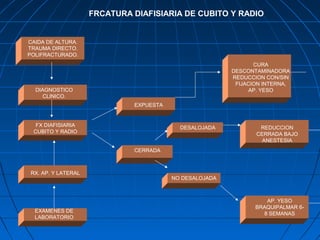 FRCATURA DIAFISIARIA DE CUBITO Y RADIO 
CAIDA DE ALTURA. 
TRAUMA DIRECTO. 
POLIFRACTURADO. 
DIAGNOSTICO 
CLINICO. 
FX DIAFISIARIA 
CUBITO Y RADIO 
RX. AP. Y LATERAL 
EXAMENES DE 
LABORATORIO 
EXPUESTA 
CERRADA 
DESALOJADA 
CURA 
DESCONTAMINADORA 
REDUCCION CON/SIN 
FIJACION INTERNA, 
AP. YESO 
REDUCCION 
CERRADA BAJO 
ANESTESIA 
AP. YESO 
BRAQUIPALMAR 6- 
8 SEMANAS 
NO DESALOJADA 
 