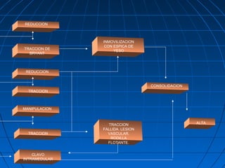 REDUCCION 
TRACCION DE 
BRYANT 
REDUCCION 
TRACCION 
MANIPULACION 
TRACCION 
CLAVO 
INTRAMEDULAR 
INMOVILIZACION 
CON ESPICA DE 
YESO 
TRACCION 
FALLIDA. LESION 
VASCULAR. 
RODILLA 
FLOTANTE. 
ALTA 
CONSOLIDACION 
 