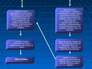 CONTROL CLINICO 
RADIOGRAFICO CADA DOS O 
TRES MESES HASTA INICIAR 
LA DEAMBULACION CON 
ANGULO ACETABULAR Y 
F.A.M. NORMALES, ASI 
COMO OTROS SIGNOS 
CLINICOS Y RADIOGRAFICOS 
PROPIOS DE LA EDAD 
NORMAL 
REPLANTEAR EL 
TRATAMIENTO: APARATO 
ORTOPEDICO DE ABDUCCION 
MAS RIGIDO (FERULA DE 
FREJKA), BAJO ANESTESIA 
GENERAL YESOS CON O SIN 
TENOTOMIA DE 
ADDUCTORES. RX. DE 
CONTROL CORROBORANDO 
EL BUEN CENTRAJE DE LAS 
CADERAS. PRIMER YESO: 6-8 
SEMANAS 
CONTROL CLINICO 
RADIOGRAFICO CADA 4 
MESES HASTA LOS 4 AÑOS DE 
EDAD 
BAJO SEDACION, CAMBIO DE 
YESO A SEGUNDA POSICION. 
SEGÚNDO YESO: 6-8 
SEMANAS, RX. CONTROL DE 
CENTRAJE DE CADERAS 
CAMBIO DE YESO A 
BACHELOR, DURACION DE 
TERCER YESO: 4 A 6 MESES 
RX. DE CONTROL CADA 2 
MESES 
NIÑO NORMAL 
 