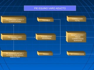 PIE EQUINO VARO ADUCTO 
VALORACION CLINICA Y 
CLASIFICACION 
PIE EQUINO VARO 
ADUCTO 
RX. DORSOPLANTAR Y 
LATERAL CON APOYO 
AMBOS PIES 
FLEXIBLE 
FLEXIBILIDAD 
MODERADA 
RIGIDO 
CORRECCION 
TOTAL 
MANIPULACION Y 
YESOS 
CORRECTIVOS 
SERIADOS 
NO CORRECCION 
 