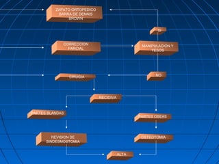ZAPATO ORTOPEDICO 
BARRA DE DENNIS 
BROWN 
CORRECCION 
PARCIAL 
CIRUGIA 
SI 
MANIPULACION Y 
YESOS 
NO 
RECIDIVA 
PARTES OSEAS 
OSTEOTOMIA 
ALTA 
PARTES BLANDAS 
REVISION DE 
SINDESMOSTOMIA 
 