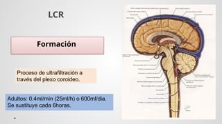 Flujo sanguineo cerebraljwjwjbwjwnwnwnnq | PPTX