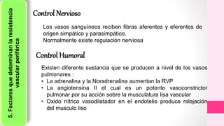 5.Factoresquedeterminanlaresistencia
vascularperiférica
Control Nervioso
Los vasos sanguíneos reciben fibras aferentes y eferentes de
origen simpático y parasimpático.
Normalmente existe regulación nerviosa
Control Humoral
Existen diferente sustancia que se producen a nivel de los vasos
pulmonares :
• La adrenalina y la Noradrenalina aumentan la RVP
• La angiotensina II el cual es un potente vasoconstrictor
pulmonar por su acción sobre la musculatura lisa vascular
• Oxido nítrico vasodilatador en el endotelio produce relajación
del musculo liso
 