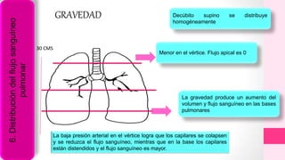 6.Distribucióndelflujosanguíneo
pulmonar
La gravedad produce un aumento del
volumen y flujo sanguíneo en las bases
pulmonares
Menor en el vértice. Flujo apical es 0
GRAVEDAD
30 CMS
La baja presión arterial en el vértice logra que los capilares se colapsen
y se reduzca el flujo sanguíneo, mientras que en la base los capilares
están distendidos y el flujo sanguíneo es mayor.
Decúbito supino se distribuye
homogéneamente
 