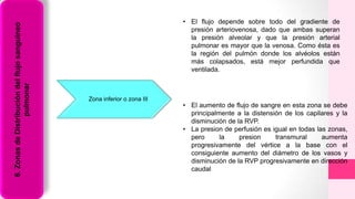Zona inferior o zona III
6.ZonasdeDistribucióndelflujosanguíneo
pulmonar
• El flujo depende sobre todo del gradiente de
presión arteriovenosa, dado que ambas superan
la presión alveolar y que la presión arterial
pulmonar es mayor que la venosa. Como ésta es
la región del pulmón donde los alvéolos están
más colapsados, está mejor perfundida que
ventilada.
• El aumento de flujo de sangre en esta zona se debe
principalmente a la distensión de los capilares y la
disminución de la RVP.
• La presion de perfusión es igual en todas las zonas,
pero la presion transmural aumenta
progresivamente del vértice a la base con el
consiguiente aumento del diámetro de los vasos y
disminución de la RVP progresivamente en dirección
caudal
 
