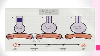Flujo sanguíneo pulmonar