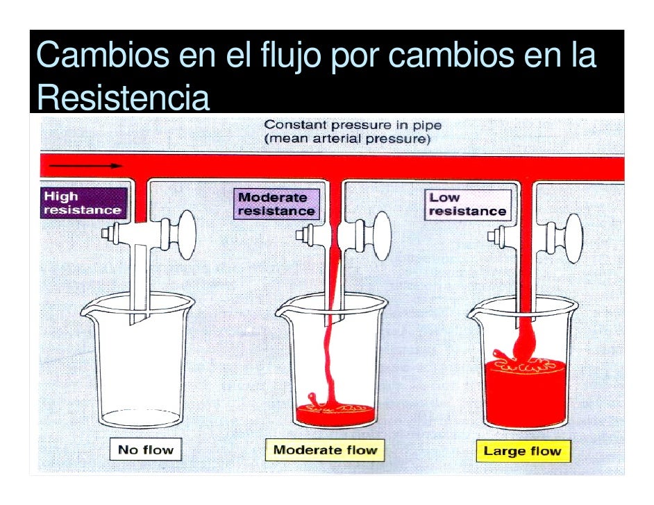 Como aumentará la dimensión del miembro viril de hombre