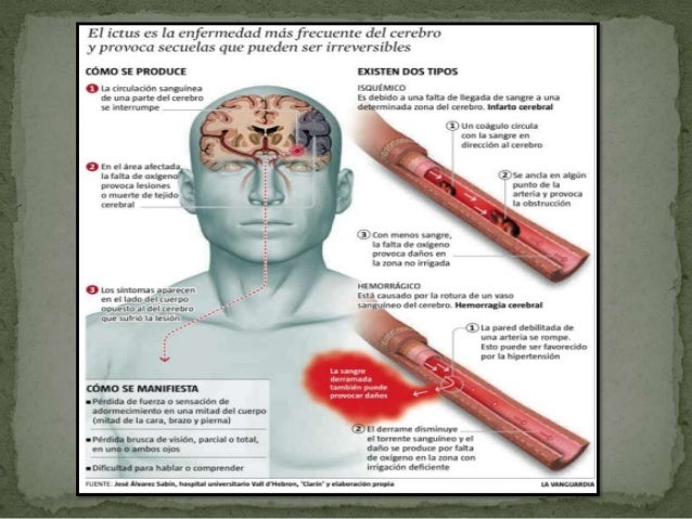 Más en metabolismo de acidos grasos