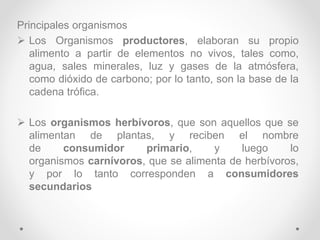 Principales organismos
 Los Organismos productores, elaboran su propio
alimento a partir de elementos no vivos, tales como,
agua, sales minerales, luz y gases de la atmósfera,
como dióxido de carbono; por lo tanto, son la base de la
cadena trófica.
 Los organismos herbívoros, que son aquellos que se
alimentan de plantas, y reciben el nombre
de consumidor primario, y luego lo
organismos carnívoros, que se alimenta de herbívoros,
y por lo tanto corresponden a consumidores
secundarios
 