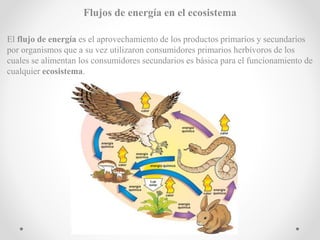 Flujos de energía en el ecosistema
El flujo de energía es el aprovechamiento de los productos primarios y secundarios
por organismos que a su vez utilizaron consumidores primarios herbívoros de los
cuales se alimentan los consumidores secundarios es básica para el funcionamiento de
cualquier ecosistema.
 