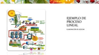 EJEMPLO DE
PROCESO
LINEAL
ELABORACIÓN DE AZÚCAR
 