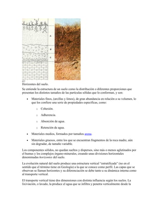 Horizontes del suelo.
Se entiende la estructura de un suelo como la distribución o diferentes proporciones que
presentan los distintos tamaños de las partículas sólidas que lo conforman, y son:
• Materiales finos, (arcillas y limos), de gran abundancia en relación a su volumen, lo
que los confiere una serie de propiedades específicas, como:
o Cohesión.
o Adherencia.
o Absorción de agua.
o Retención de agua.
• Materiales medios, formados por tamaños arena.
• Materiales gruesos, entre los que se encuentran fragmentos de la roca madre, aún
sin degradar, de tamaño variable.
Los componentes sólidos, no quedan sueltos y dispersos, sino más o menos aglutinados por
el humus y los complejos órgano-minerales, creando unas divisiones horizontales
denominadas horizontes del suelo.
La evolución natural del suelo produce una estructura vertical “estratificada” (no en el
sentido que el término tiene en Geología) a la que se conoce como perfil. Las capas que se
observan se llaman horizontes y su diferenciación se debe tanto a su dinámica interna como
al transporte vertical.
El transporte vertical tiene dos dimensiones con distinta influencia según los suelos. La
lixiviación, o lavado, la produce el agua que se infiltra y penetra verticalmente desde la
 