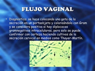 FLUJO VAGINALFLUJO VAGINAL
• Diagnostico:Diagnostico: se hace colocando una gota de la
secreción en un portaobjeto y coloreándola con Gram
y se considera positiva si hay diplococos
gramnegativos intracelulares, pero solo se puede
confirmar con certeza haciendo cultivos de la
secreción cervical en medios como Thayer-Martín.
 