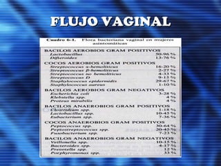 FLUJO VAGINALFLUJO VAGINAL
 