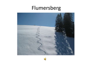 Flumersberg
 