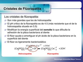 Cristales de Flúorapatita  <ul><li>Los cristales de flúorapatita: </li></ul><ul><li>Son más grandes que los de hidroxiapat...