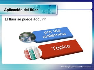 Aplicación del flúor El flúor se puede adquirir  Odontología Universidad Mayor Temuco 