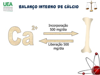 Balanço Interno de Cálcio



            Incorporação
             500 mg/dia



            Liberação 500
               mg/dia
 