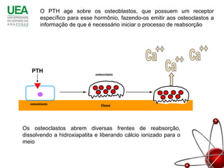 O PTH age sobre os osteoblastos, que possuem um receptor
         específico para esse hormônio, fazendo-os emitir aos osteoclastos a
         informação de que é necessário iniciar o processo de reabsorção




    PTH
                              osteoclasto




   osteoblasto
                                 Osso




Os osteoclastos abrem diversas frentes de reabsorção,
dissolvendo a hidroxiapatita e liberando cálcio ionizado para o
meio
 