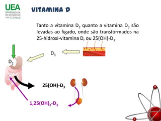 Vitamina D

        Tanto a vitamina D2 quanto a vitamina D3 são
        levadas ao fígado, onde são transformados na
        25-hidroxi-vitamina D, ou 25(OH)-D3

              D3
 D
D22



           25(OH)-D3


      1,25(OH)2-D3
 