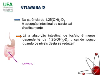 Vitamina D

  Na carência de 1,25(OH)2-D3
  A absorção intestinal de cálcio cai
  drasticamente

   Já a absorção intestinal de fosfato é menos
   dependente da 1,25(OH)2-D3 , caindo pouco
   quando os níveis desta se reduzem




1,25(OH)-D-D3
   1,25(OH)
        2   3
            2
 