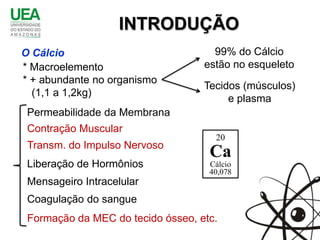 INTRODUÇÃO
O Cálcio                             99% do Cálcio
* Macroelemento                    estão no esqueleto
* + abundante no organismo
                                   Tecidos (músculos)
  (1,1 a 1,2kg)
                                        e plasma
 Permeabilidade da Membrana
 Contração Muscular
                                     20
 Transm. do Impulso Nervoso
                                    Ca
 Liberação de Hormônios             Cálcio
                                    40,078
 Mensageiro Intracelular
 Coagulação do sangue
 Formação da MEC do tecido ósseo, etc.
 