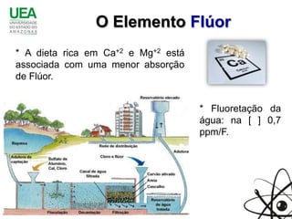 O Elemento Flúor
* A dieta rica em Ca+2 e Mg+2 está
associada com uma menor absorção
de Flúor.


                                     * Fluoretação da
                                     água: na [ ] 0,7
                                     ppm/F.
 