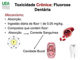 Toxicidade Crônica: Fluorose
                   Dentária
Mecanismo:
•   Absorção.
•   Ingestão diária de flúor ↑ de 0,05 mg/kg.
•   Compostos que contém flúor:
•    Absorção        Corrente Sanguínea




               Cavidade Bucal
 