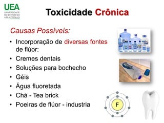 Toxicidade Crônica
Causas Possíveis:
• Incorporação de diversas fontes
  de flúor:
• Cremes dentais
• Soluções para bochecho
• Géis
• Água fluoretada
• Chá - Tea brick
• Poeiras de flúor - industria
 