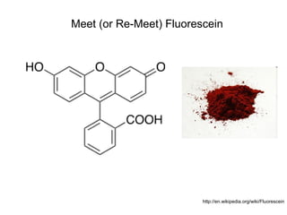 Meet (or Re-Meet) Fluorescein 
http://en.wikipedia.org/wiki/Fluorescein 
 
