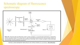 Schematic diagram of fluorescence
spectroscopy:
PHYSICAL BIOCHEMISTRY:PRINCIPLES AND APPLICATIONS, Second Edition, David Sheehan
 