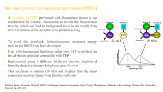 Bioluminescence resonance energy transfer (BRET)
• A limitation of FRET performed with fluorophore donors is the
requirement for external illumination to initiate the fluorescence
transfer, which can lead to background noise in the results from
direct excitation of the acceptor or to photobleaching
• To avoid this drawback, bioluminescence resonance energy
transfer (or BRET) has been developed
• Uses a bioluminescent luciferase rather than CFP to produce an
initial photon emission compatible with YFP
• Implemented using a different luciferase enzyme, engineered
from the deep-sea shrimp Oplophorus gracilirostris
• This luciferase is smaller (19 kD) and brighter than the more
commonly used luciferase from Renilla reniformis
Szöllősi, János; Alexander, Denis R. (2007). In Klumpp, Susanne; Krieglstein, Josef. Protein Phosphatases. Methods in Enzymology, Volume 366. Amsterdam:
Elsevier. pp. 203–224
 