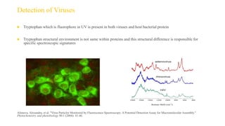 Detection of Viruses
 Tryptophan which is fluorophore in UV is present in both viruses and host bacterial protein
 Tryptophan structural environment is not same within proteins and this structural difference is responsible for
specific spectroscopic signatures
Alimova, Alexandra, et al. "Virus Particles Monitored by Fluorescence Spectroscopy: A Potential Detection Assay for Macromolecular Assembly."
Photochemistry and photobiology 80.1 (2004): 41-46.
 