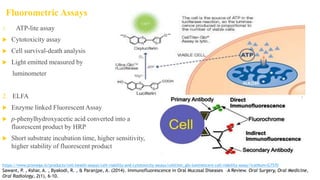 Fluorometric Assays
1. ATP-lite assay
 Cytotoxicity assay
 Cell survival-death analysis
 Light emitted measured by
luminometer
2. ELFA
 Enzyme linked Fluorescent Assay
 p-phenylhydroxyacetic acid converted into a
fluorescent product by HRP
 Short substrate incubation time, higher sensitivity,
higher stability of fluorescent product
https://www.promega.in/products/cell-health-assays/cell-viability-and-cytotoxicity-assays/celltiter_glo-luminescent-cell-viability-assay/?catNum=G7570
Sawant, P. , Kshar, A. , Byakodi, R. , & Paranjpe, A. (2014). Immunofluorescence in Oral Mucosal Diseases –A Review. Oral Surgery, Oral Medicine,
Oral Radiology, 2(1), 6-10.
 
