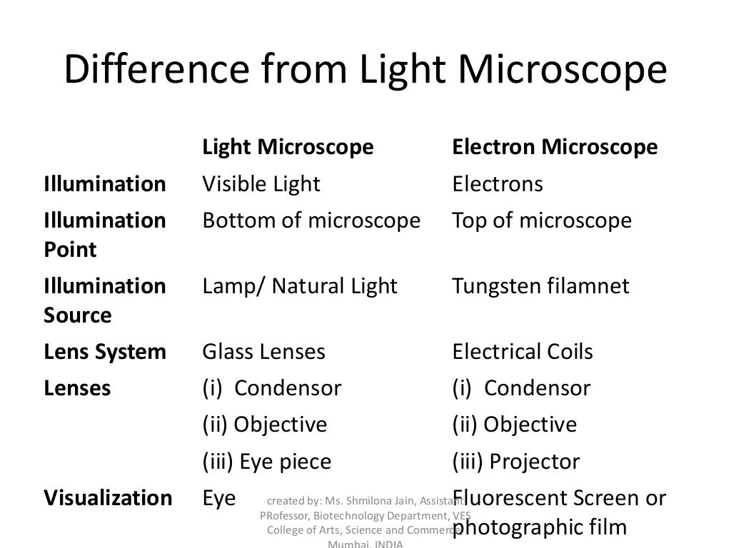 Fluorescence and electron microscopy