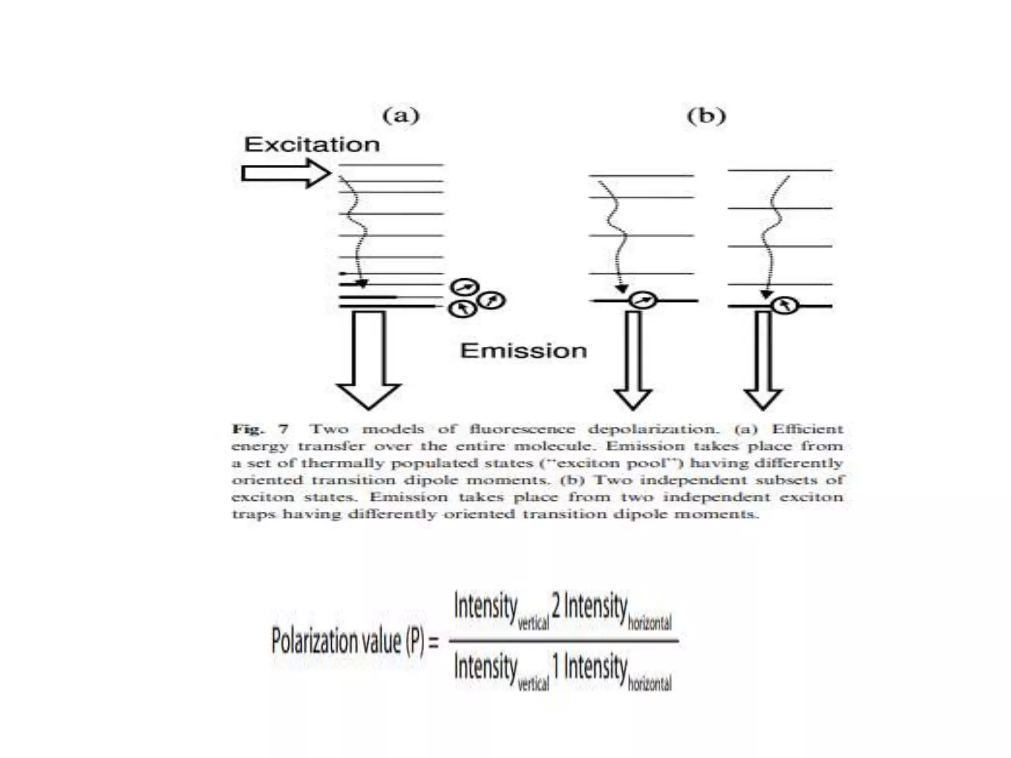 Fluorescence anisotropy