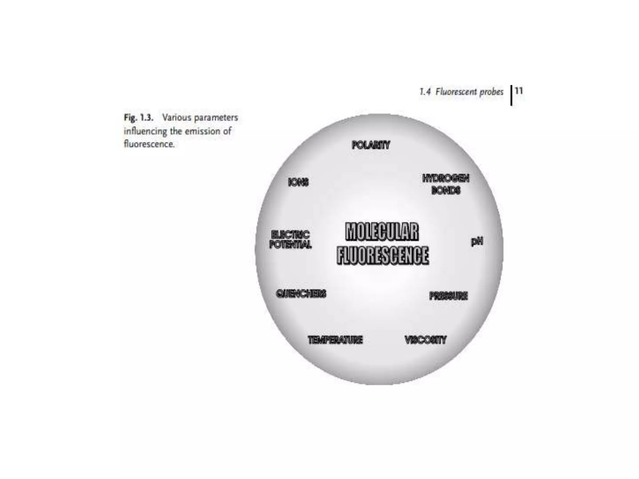 Fluorescence anisotropy