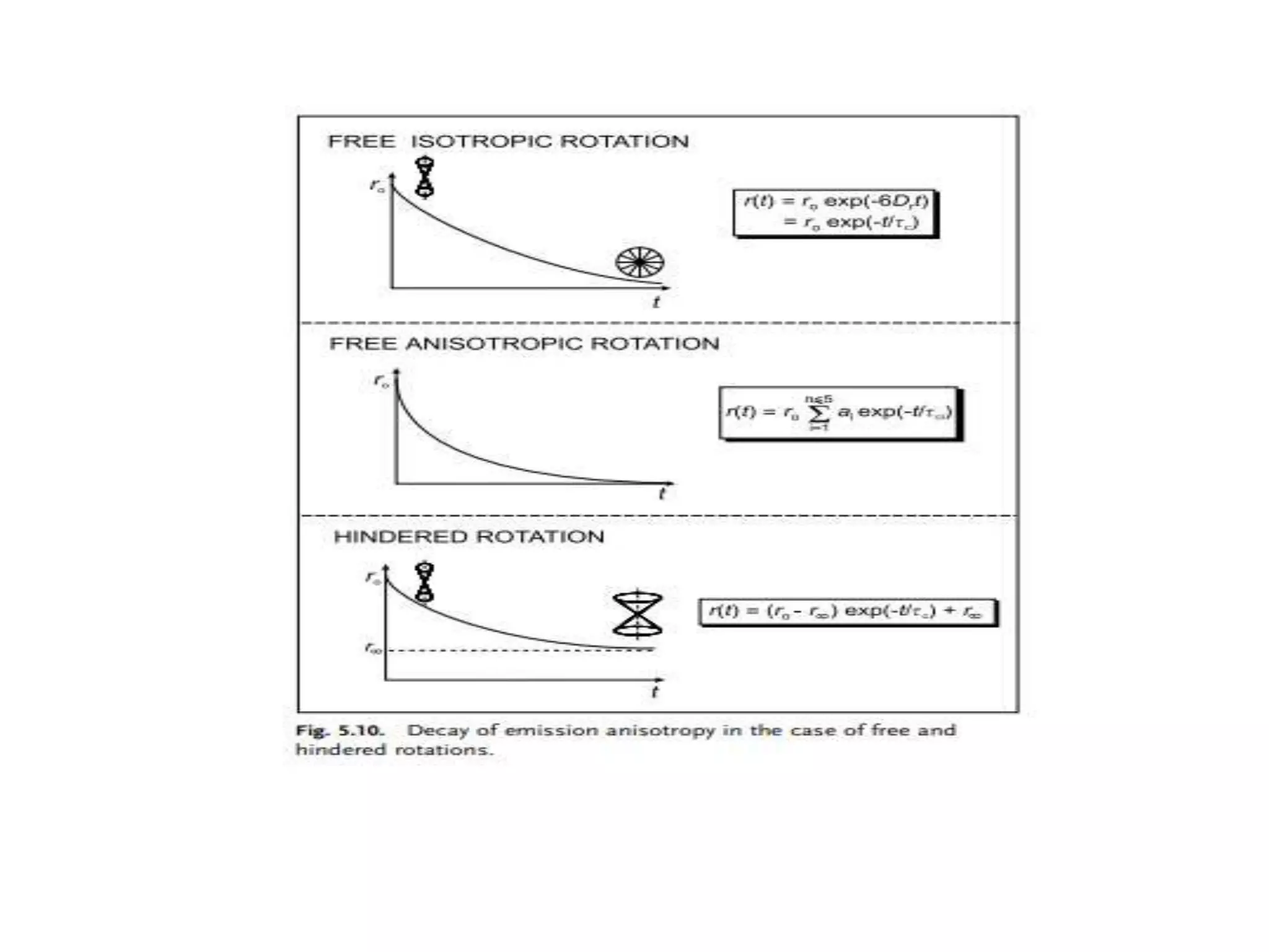 Fluorescence anisotropy