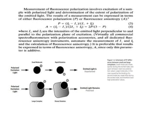 Fluorescence anisotropy