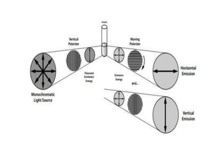 Fluorescence anisotropy