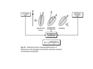 Fluorescence anisotropy
