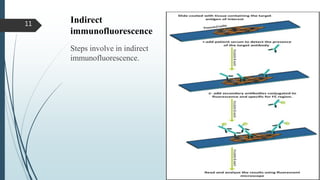 Indirect
immunofluorescence
Steps involve in indirect
immunofluorescence.
11
 