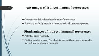Advantages of Indirect immunofluorescence:
 Greater sensitivity than direct immunofluorescence
 For every antibody there is a characteristics fluorescence pattern.
Disadvantages of Indirect immunofluorescence:
 Potential cross reactivity.
 Finding labeled primary Ab which is more difficult to get especially
for multiple labeling experiments.
13
 