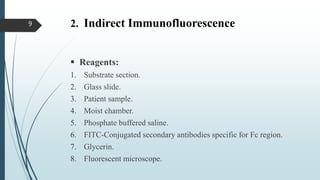 2. Indirect Immunofluorescence
 Reagents:
1. Substrate section.
2. Glass slide.
3. Patient sample.
4. Moist chamber.
5. Phosphate buffered saline.
6. FITC-Conjugated secondary antibodies specific for Fc region.
7. Glycerin.
8. Fluorescent microscope.
9
 