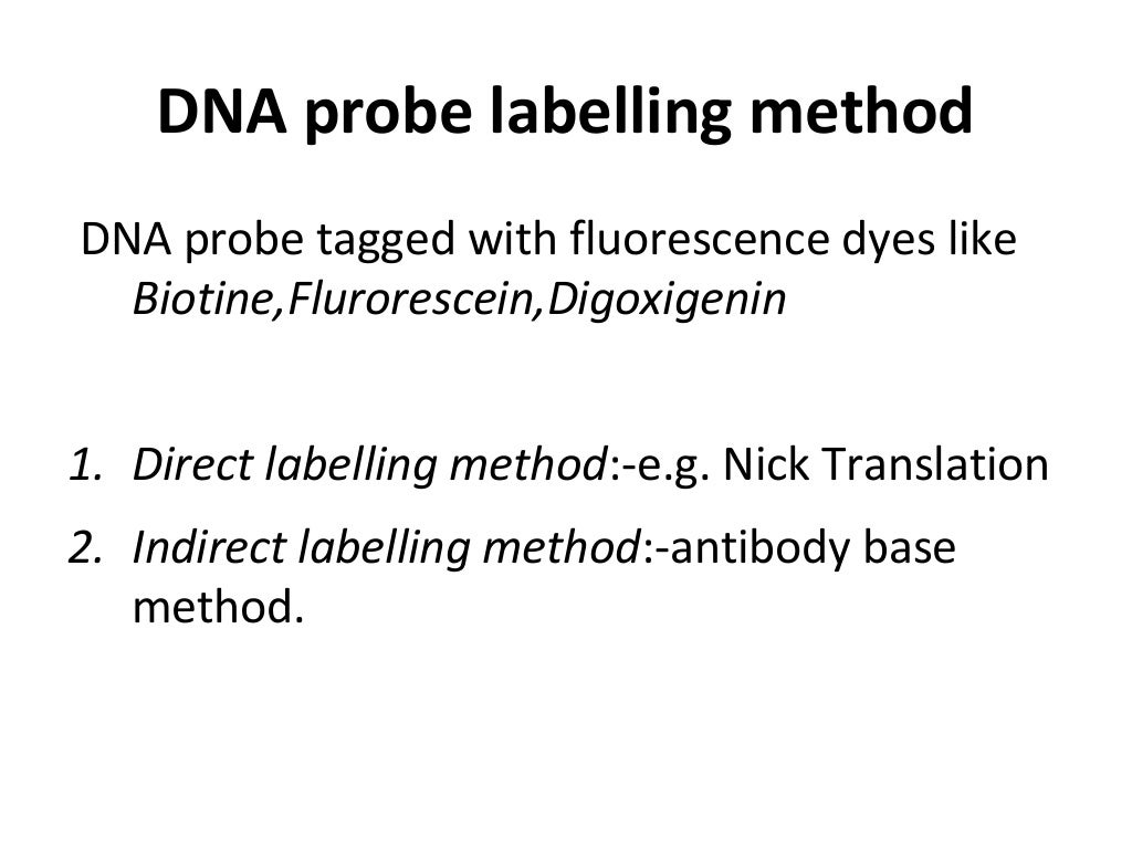 Fluorescence in situ hybridization